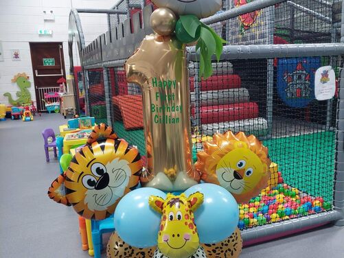 DragonzDen | Indoor Soft Play Area Waterford | Indoor Activities for Kids Waterford City | Day Out with Children Kilkenny