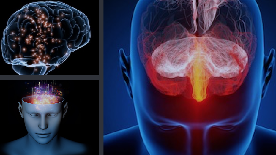 Chronic Pain Engrams