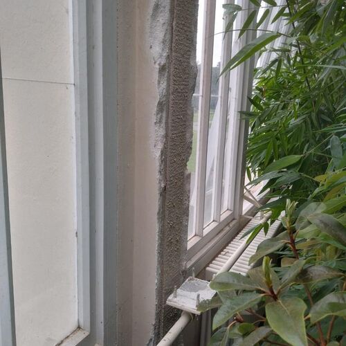 The Royal Botanical Gardens Kew