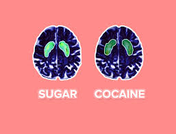 What's Driving Your Sugar Cravings