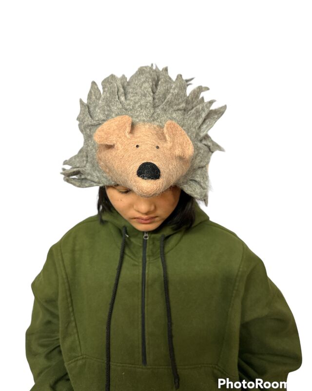 Hedgehog hat