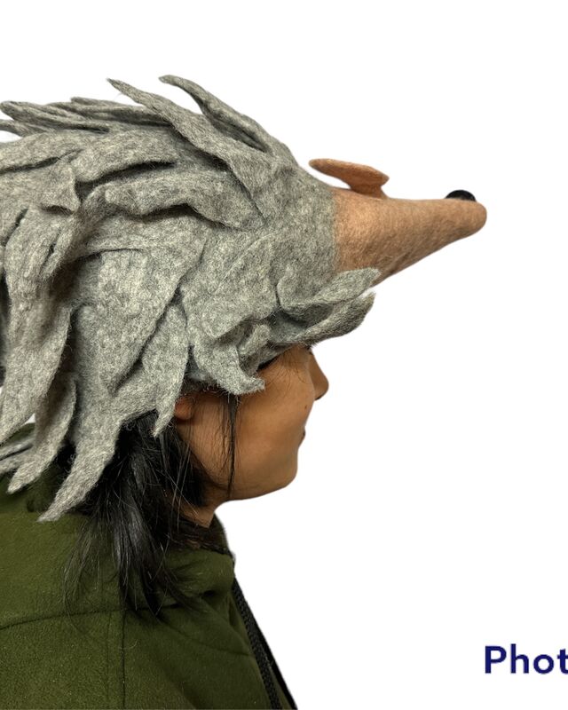 Hedgehog hat