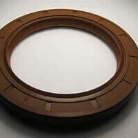 46 X 64 X 8 R23 VITON SOG