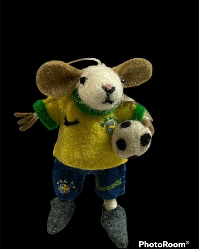 Brazil football team