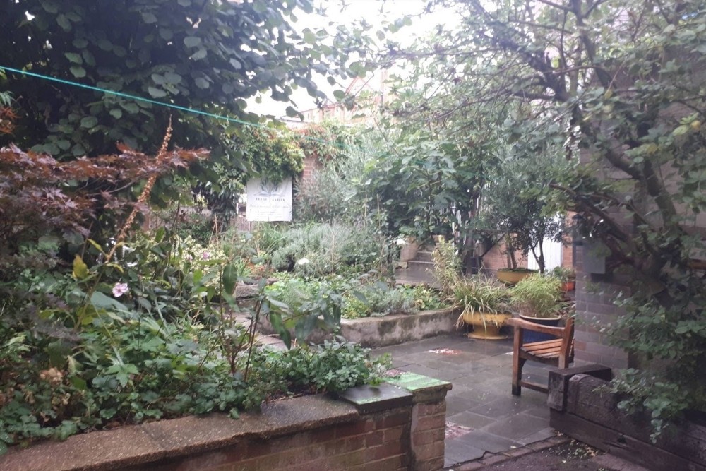 BRADY GARDEN Open Day Summer Gathering