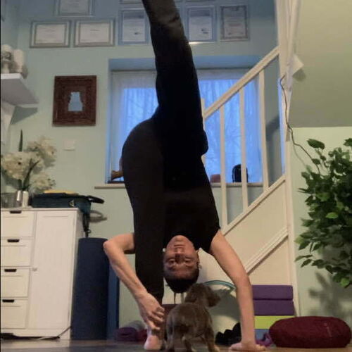 Holistic treatments-therapies Essex