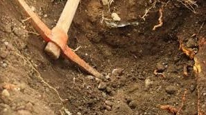 புதையல் தோண்ட முயற்சித்தவர்கள் நவீன கருவிகளுடன் கைது