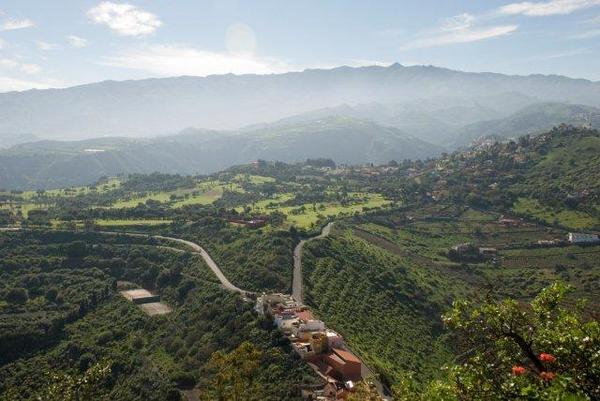 longingly looking at london