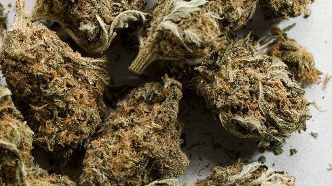 கேரளா கஞ்சாவைக் கடத்தியவர் கைது