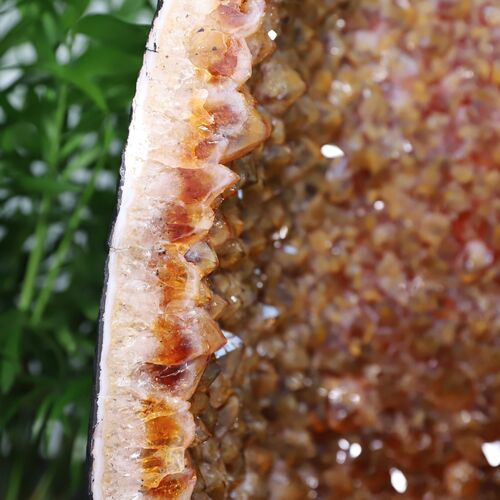 Citrine Geode Cathedral Cave