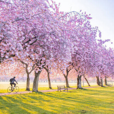 March - Time for Spring