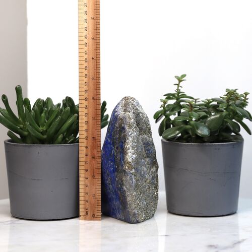 Pyrite & Lapis Lazuli