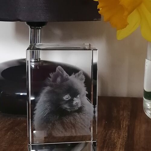 Medium rectangular Crystal, Portrait,