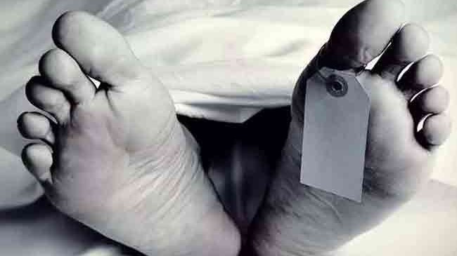 சடலமொன்று மீட்பு