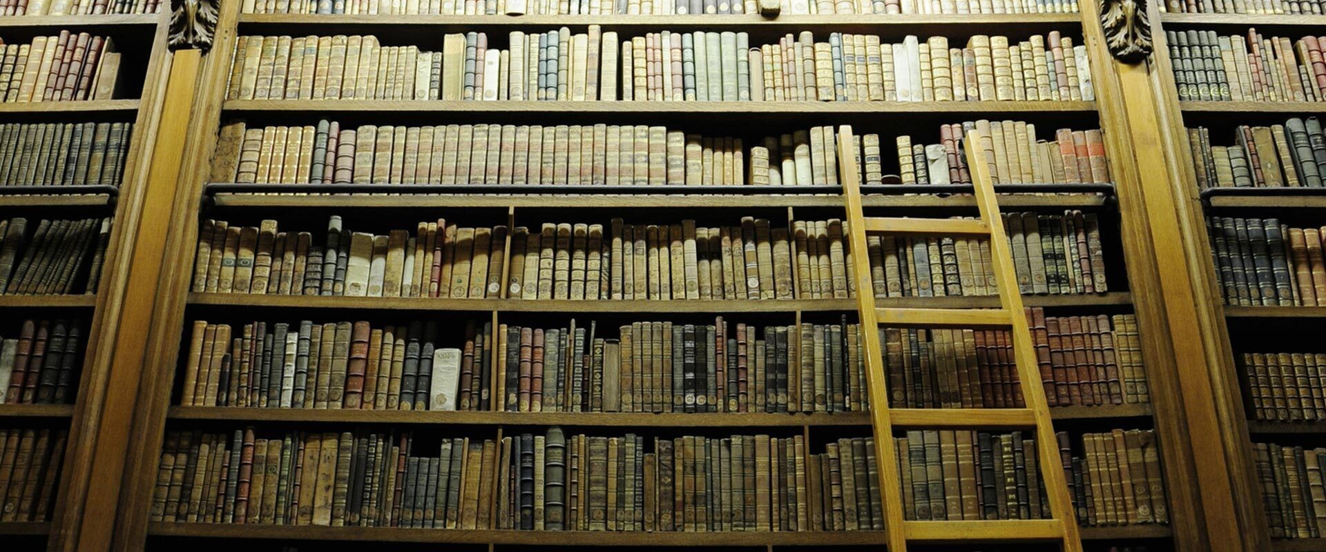 Historian History Blogger