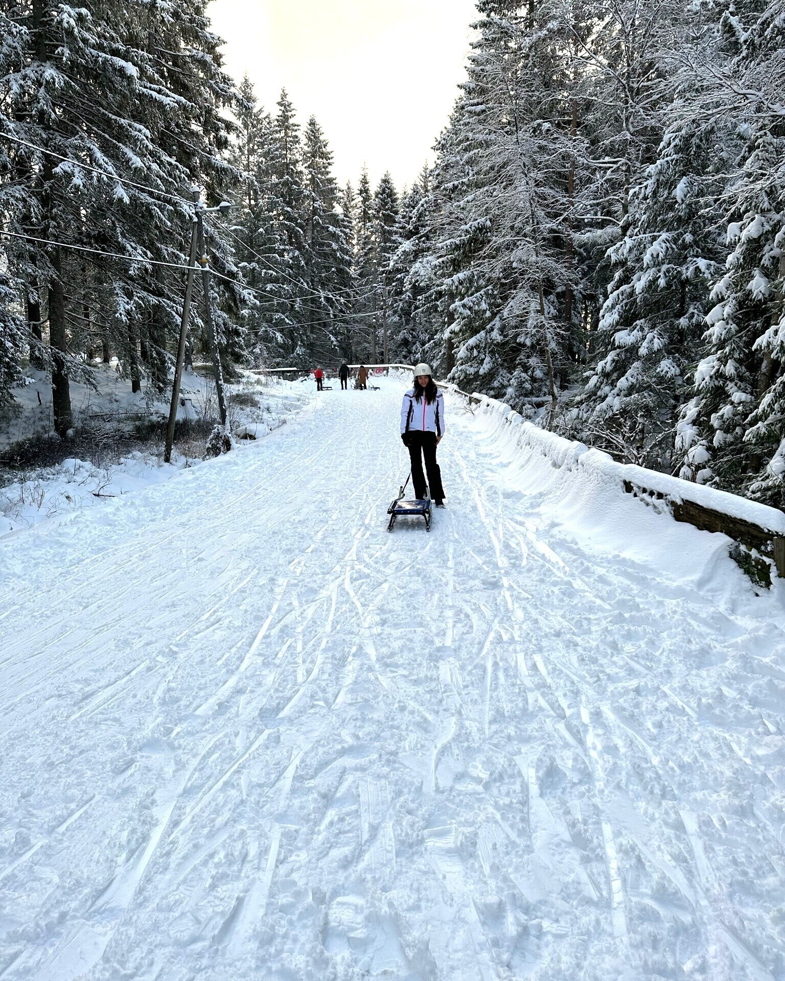 Experience the Toboggan Run in Oslo
