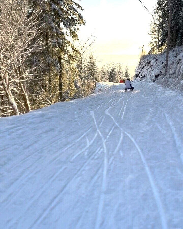 Experience the Toboggan Run in Oslo