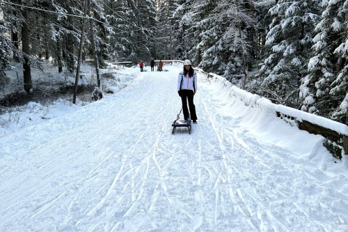 Experience the Toboggan Run in Oslo