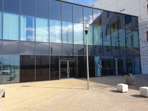 Window Film Image Gallery