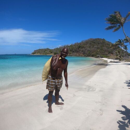 Gold Sea Moss Eucheuma Cottonii Variety