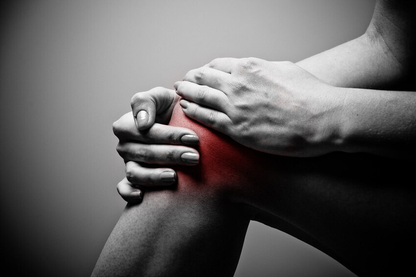 Inflammation & Joint Health