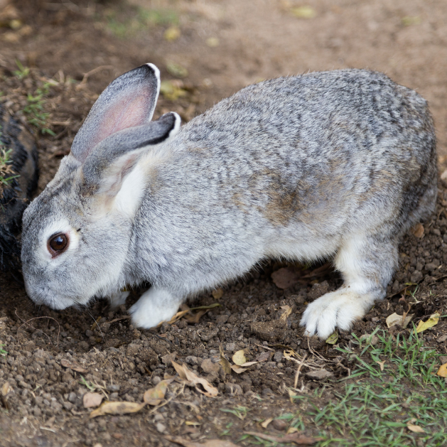 Take time to decide, but a decision you must make