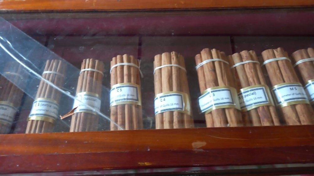 யாழ்ப்பாணத்தில் இடம்பெற்ற வடக்கு மாகாண ரீதியிலான கறுவா பயிற்சி பட்டறை