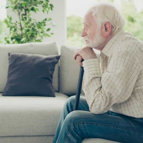 The Importance of Social Companionship