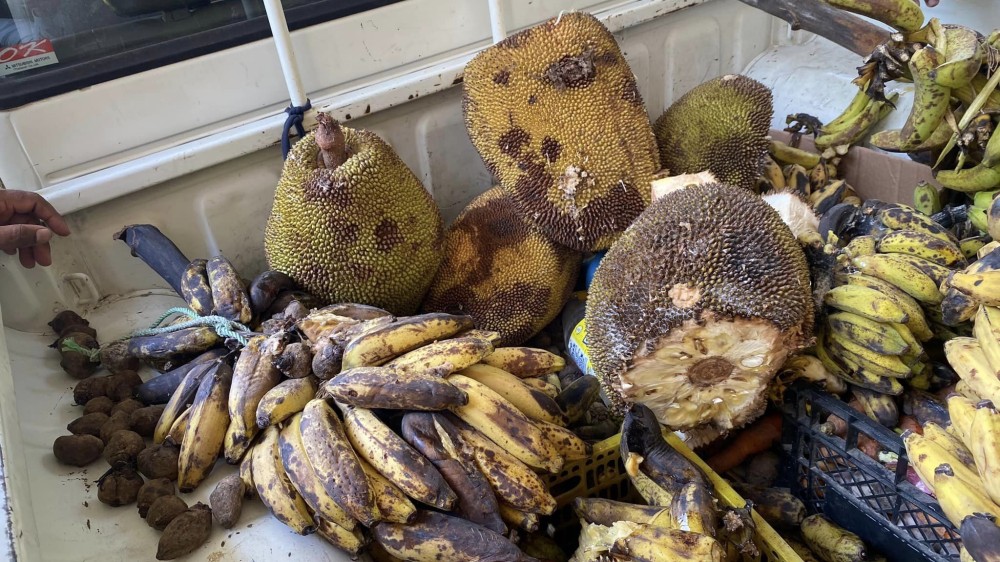 பழக்கடைகளில் பரிசோதனை