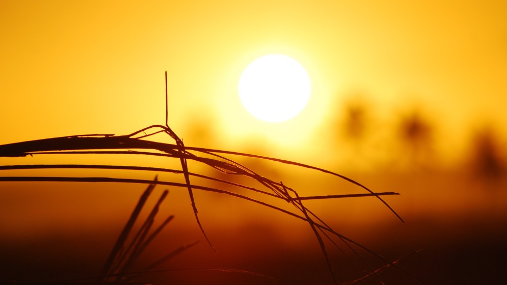 அதிகவெப்பநிலை மக்கள் அவஸ்தை!