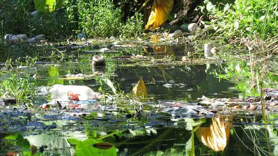 டெங்கு ஏற்படும் அபாயம்  - அசையாத அதிகாரிகள்