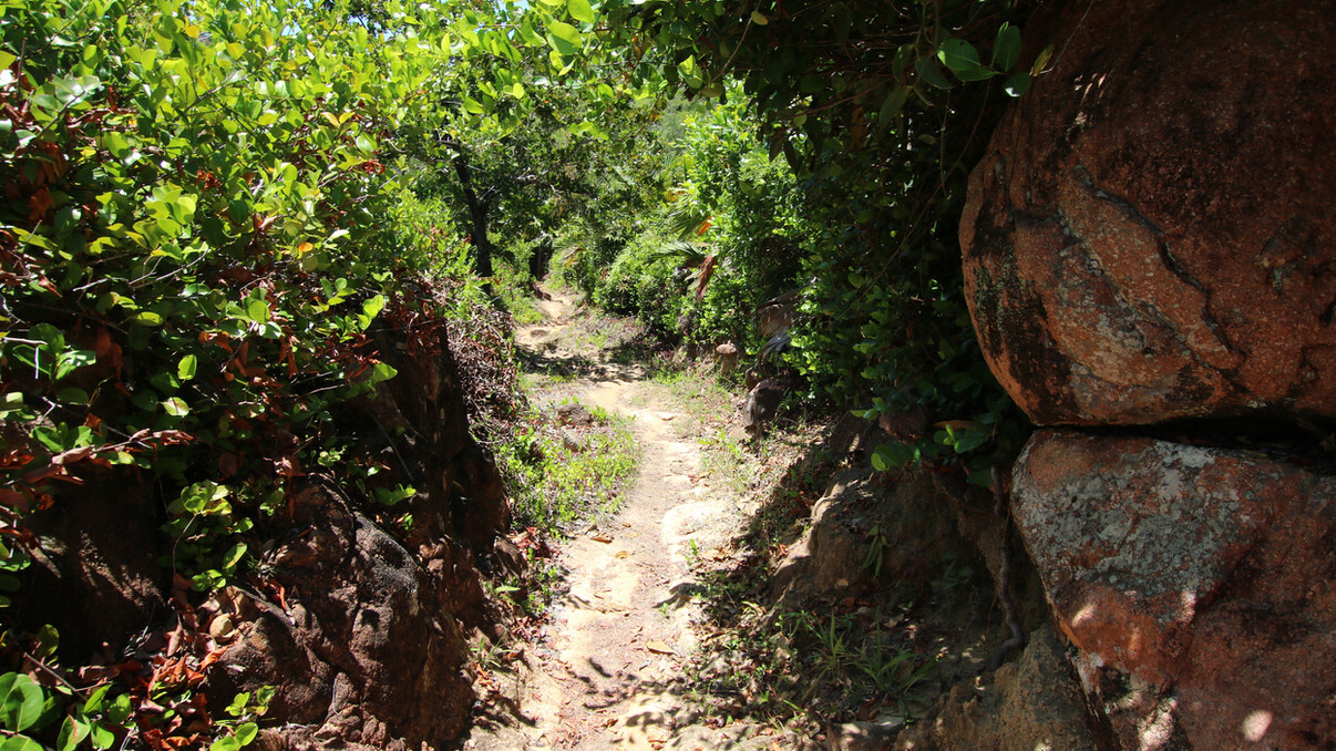Praslin Private Island Tour