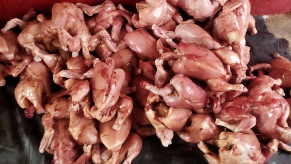 விசம்போல் ஏறிய கோழி இறைச்சி விலை