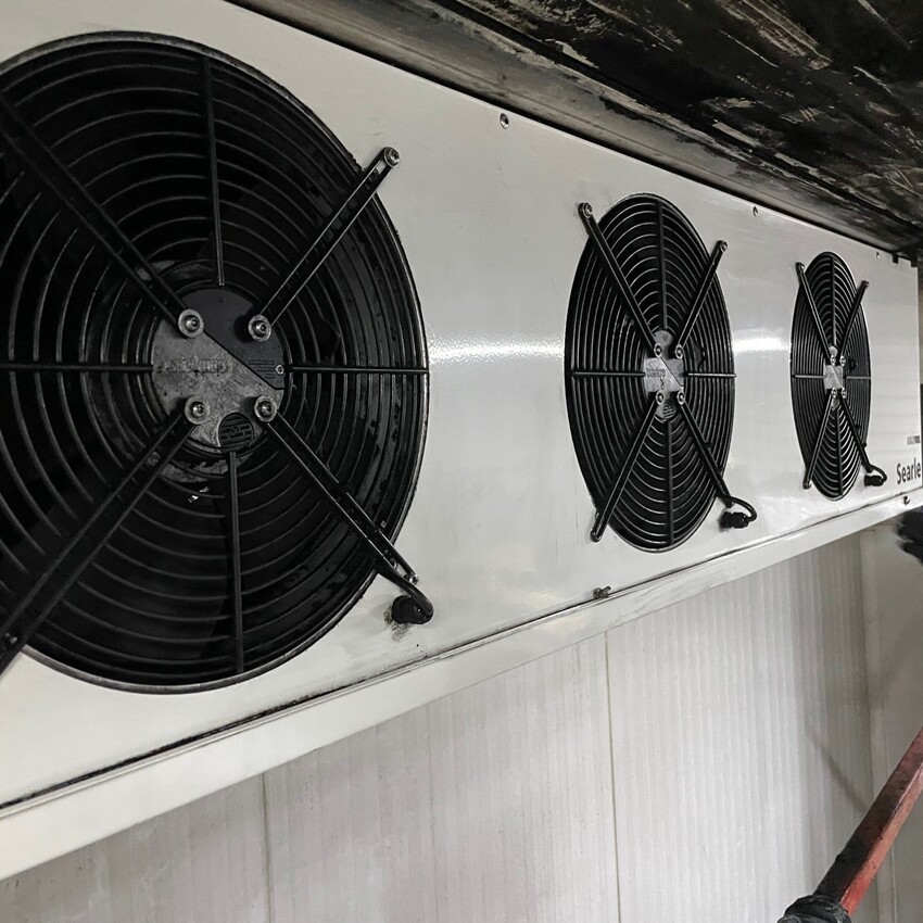 Cooler / Evaporator Cleaning