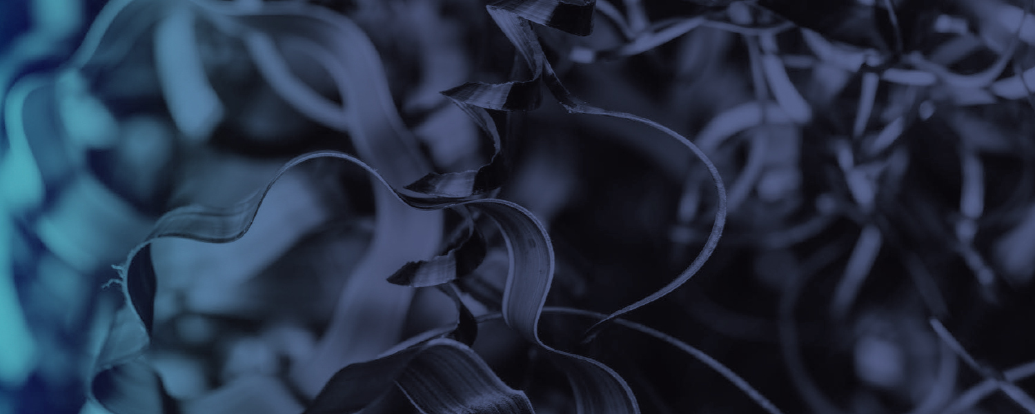 Non Ferrous Scrap Rotherham