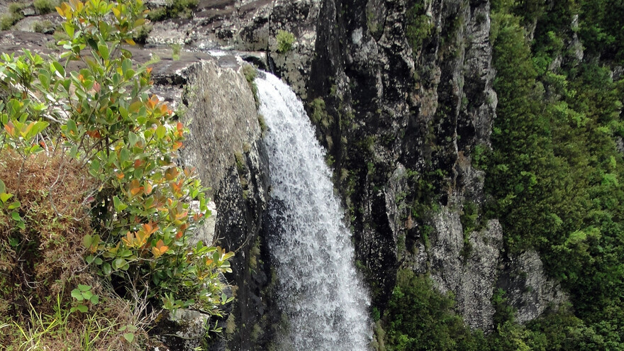 Black River Gorges National Park