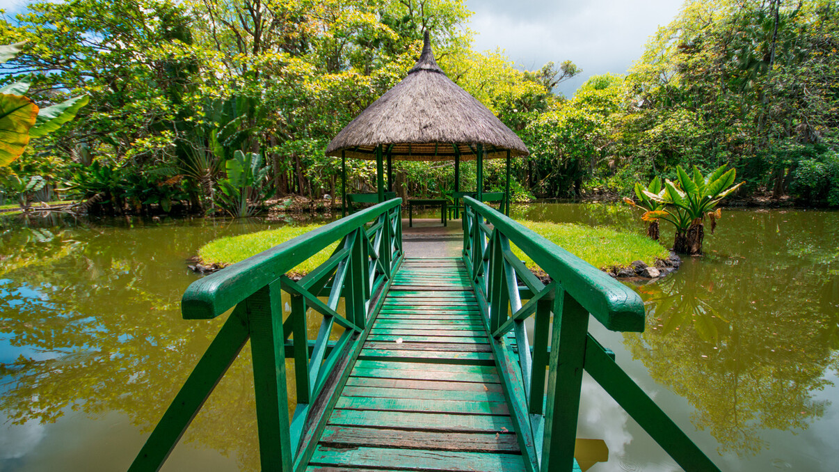 The Mauritius National Botanical Garden
