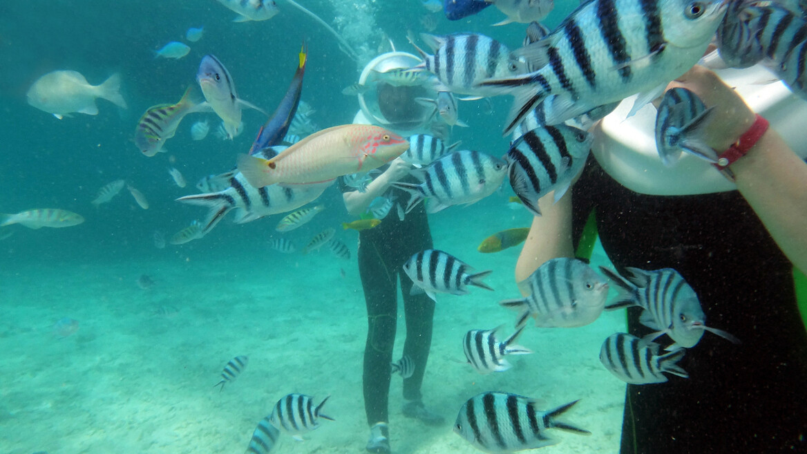 Mauritius Underwater Activities