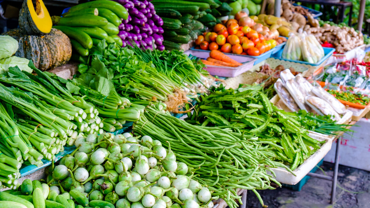 Mauritius Sightseeing Tours