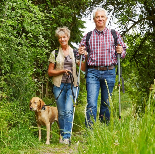 3 Ways Nature may Protect our Brains against Dementia