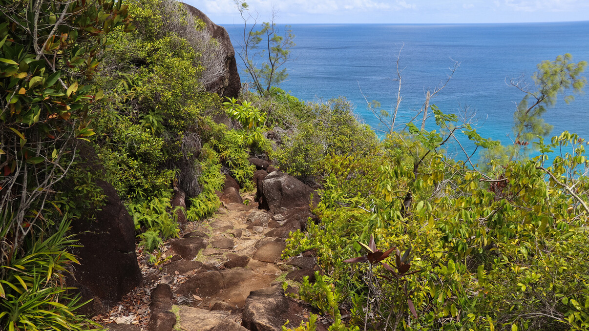 Private Anse Major Nature Trail