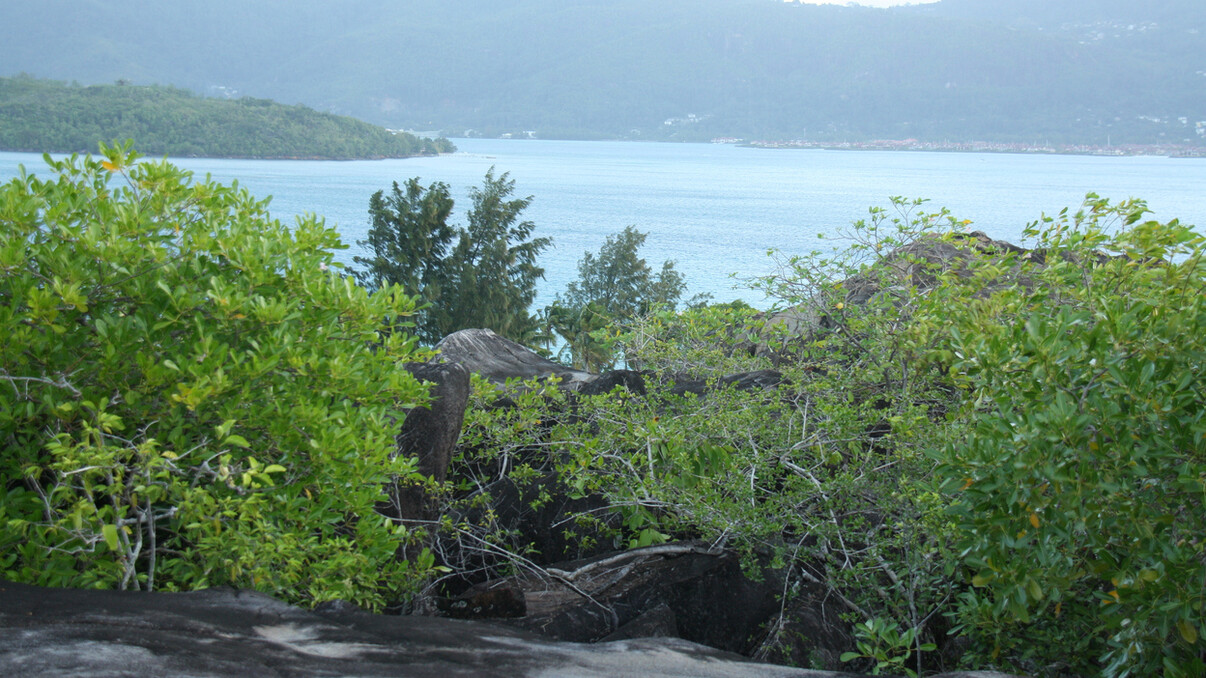 Sainte Anne Marine Park by Catamaran