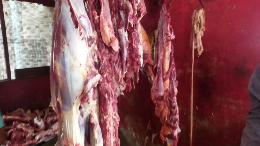 இறைச்சிக்காக மாடு அறுப்பது தடை