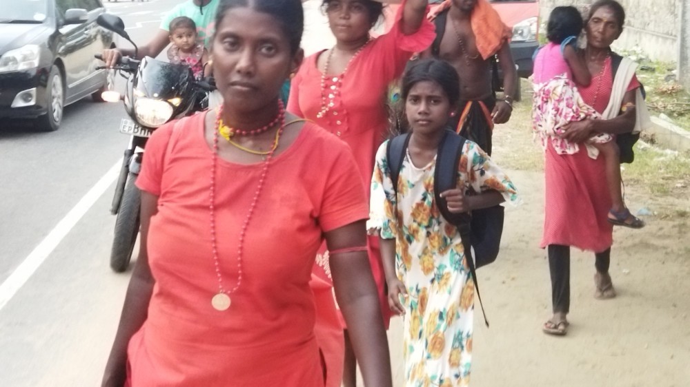 கிழக்கிலிருந்து பக்தர்கள் கதிர்காமம் நோக்கிப் படையெடுப்பு