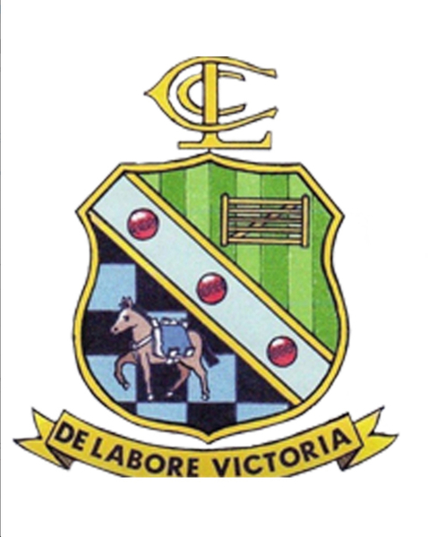 **Leadgate Junior Cricket Camp**