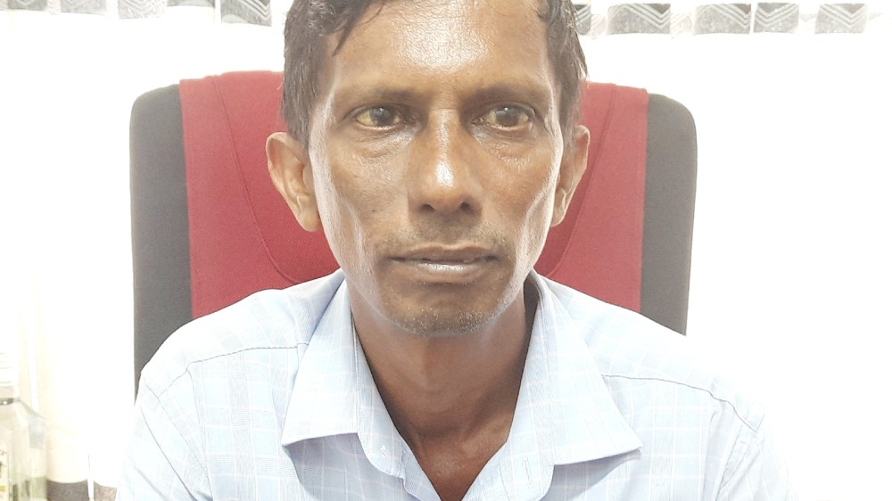 நோயற்றவையென உறுதிப்படுத்தப்பட்ட மாடுகள்