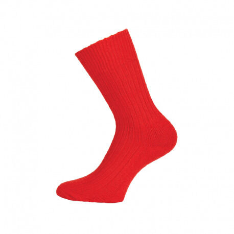 Corrymoor Companion Red
