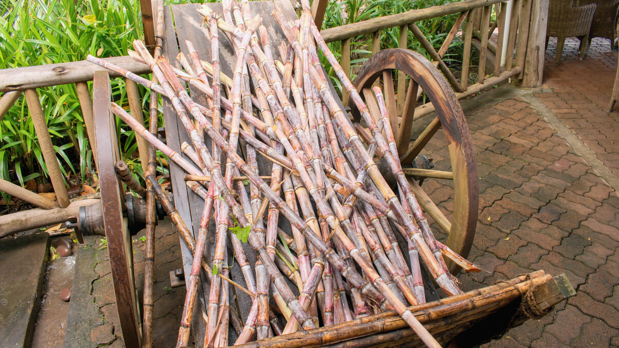 Chamarel Rum Distillery