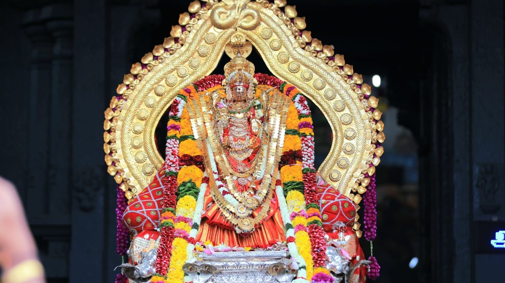 யாழ் நயினை நாகபூசணி அம்மன் ஆலயத்தின் தேர்த் திருவிழா