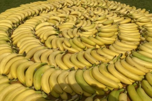 Chislehurst Half Marathon